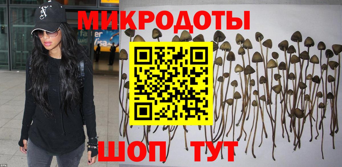 где найти   Псилоцибиновые грибы Magic Shrooms  Вход с VPN  Геленджик  Галлюциногенные грибы мухоморы 