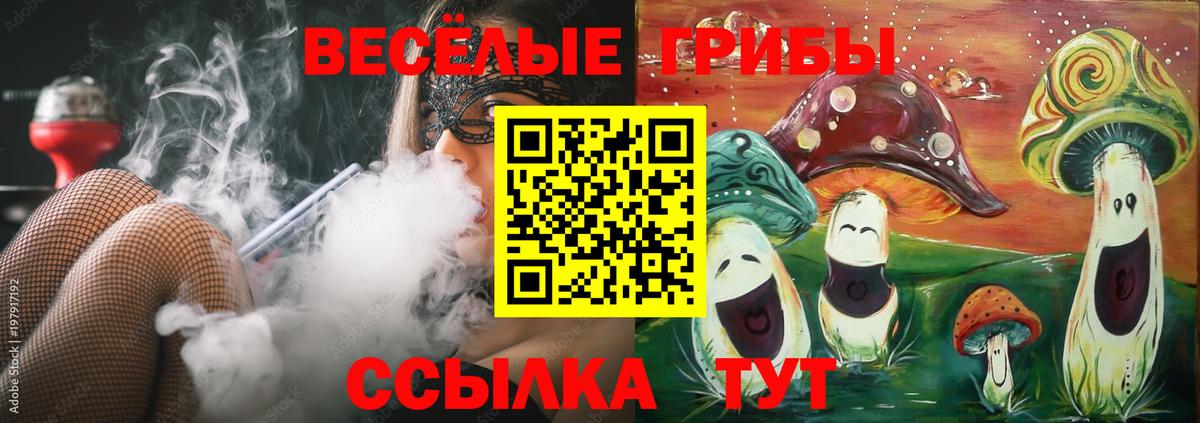 Галлюциногенные грибы Cubensis Геленджик